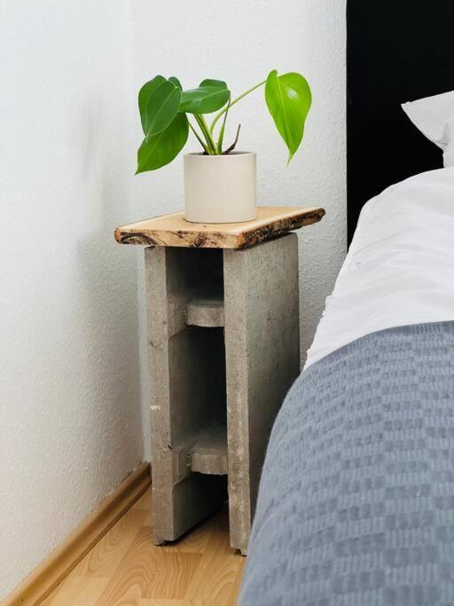 Zentrales Grosszuegiges Apartment Mit Dachterrasse! ボーフム エクステリア 写真
